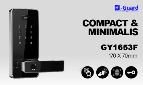GY1653F